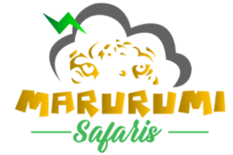 Marurumi Safaris