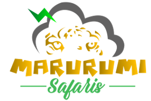 Marurumi Safaris