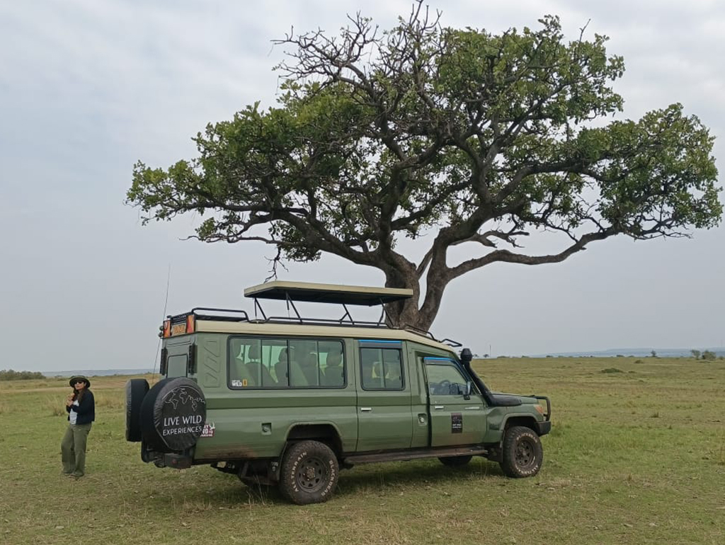 Live Wild Experiences