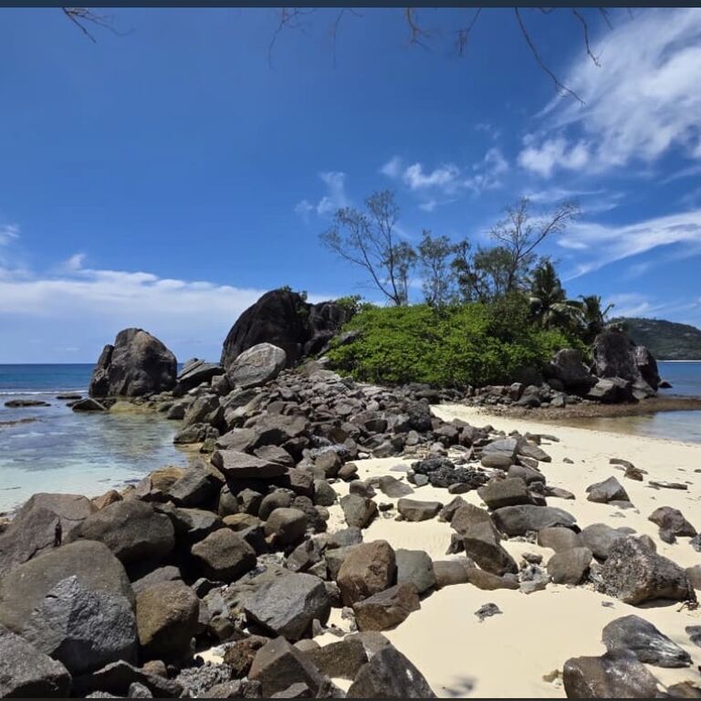 Amedee Islands Tour