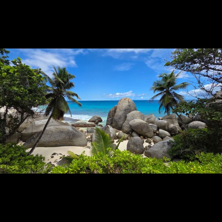Amedee Islands Tour