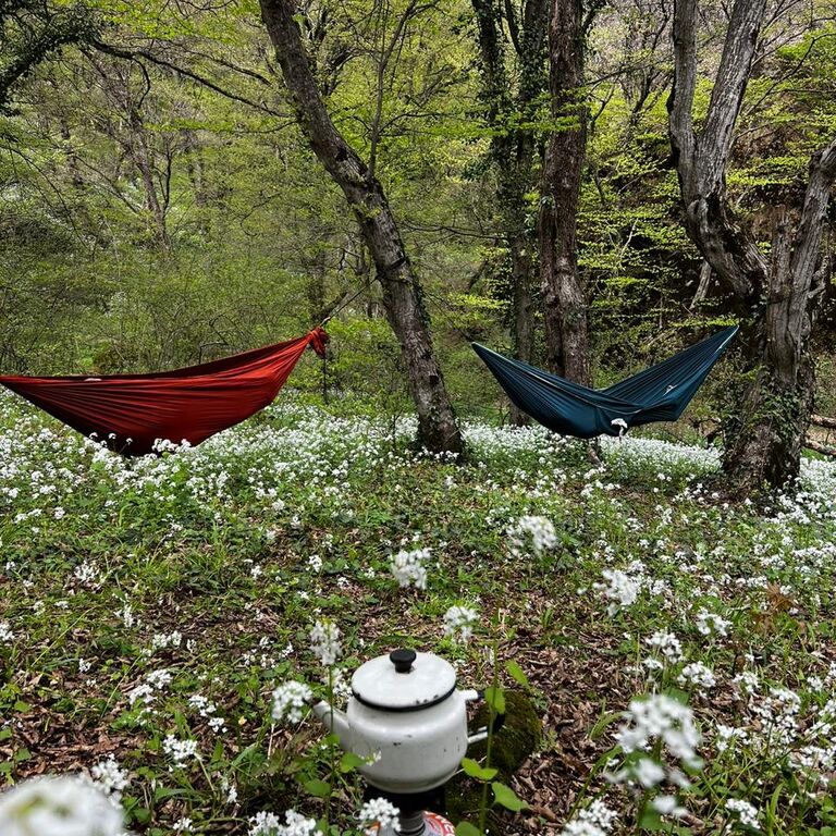 Book Georgia Travel