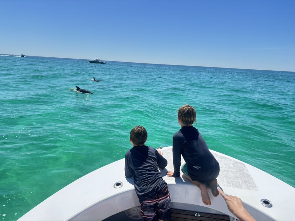 Shell Island Excursions