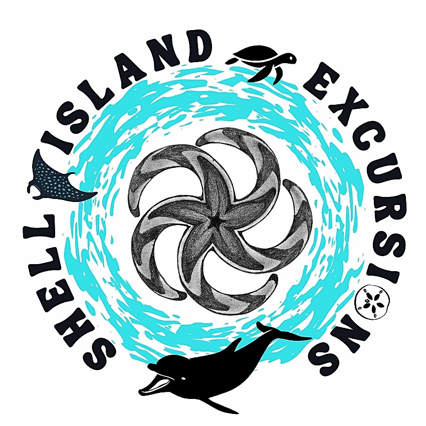Shell Island Excursions
