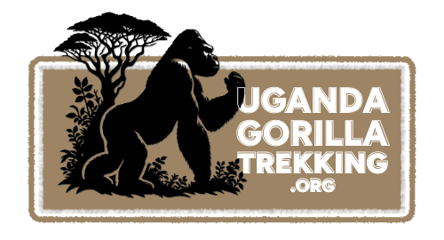 Uganda Gorilla Trekking Organisation