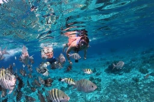 Snorkeling el cielo tour