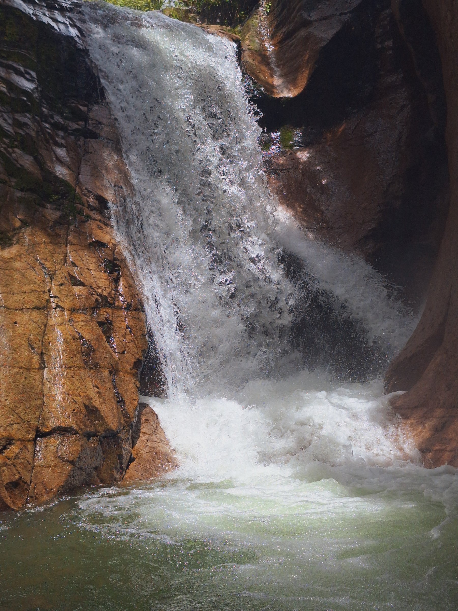 Rumboswildtrails
