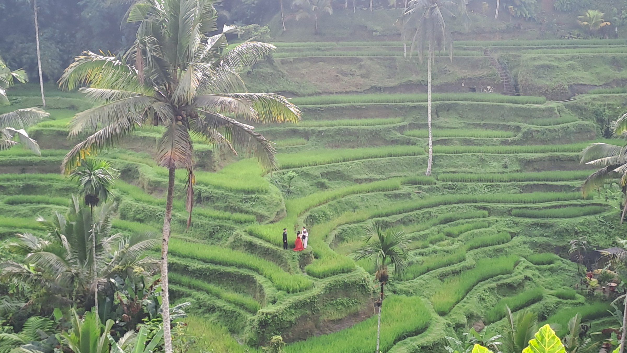 Bali Airport Transfers