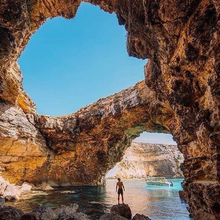 Sea Life Cruises