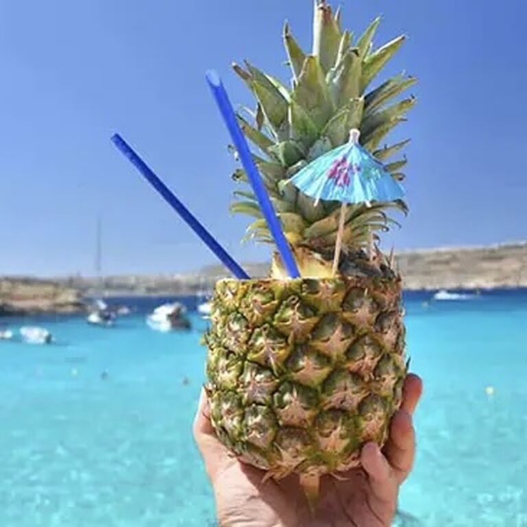 Sea Life Cruises