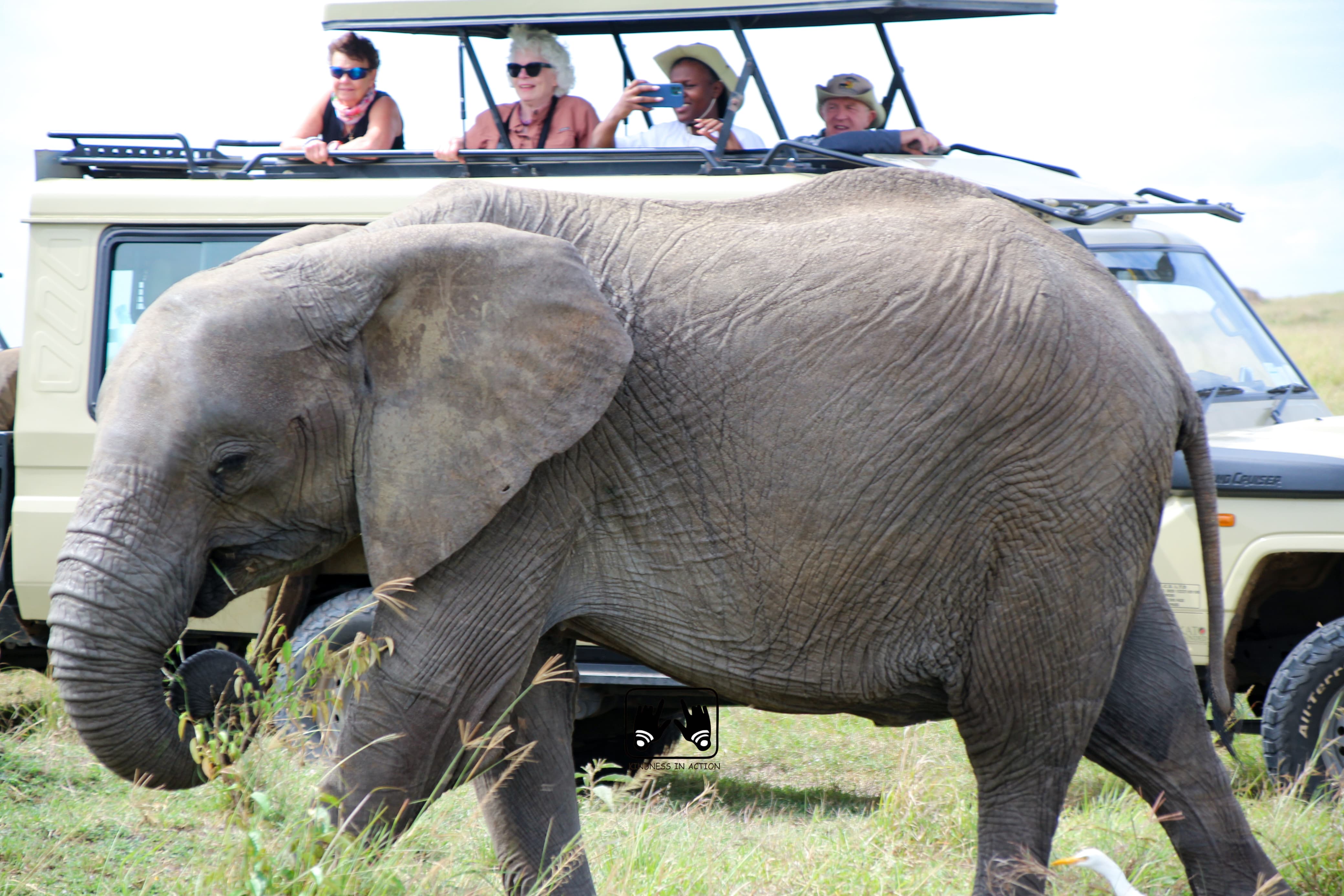 Jeep Safaris and Tours