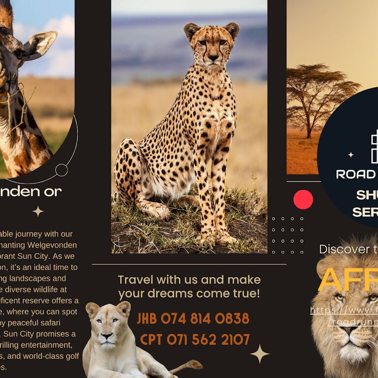 Road Runner Private Transport & Tours