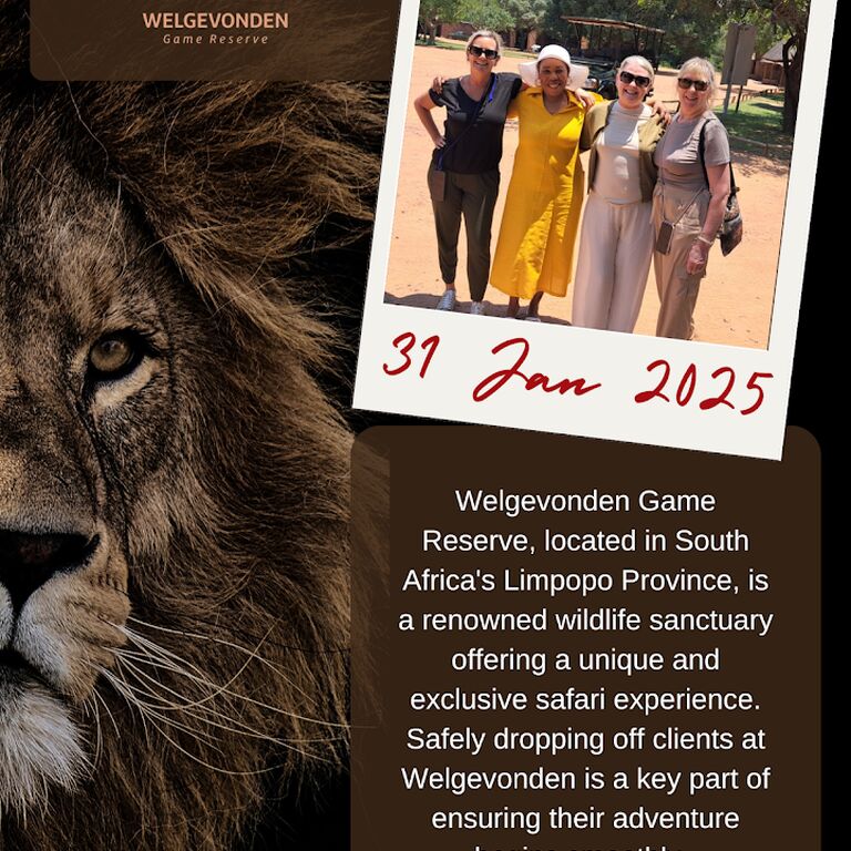 Road Runner Private Transport & Tours
