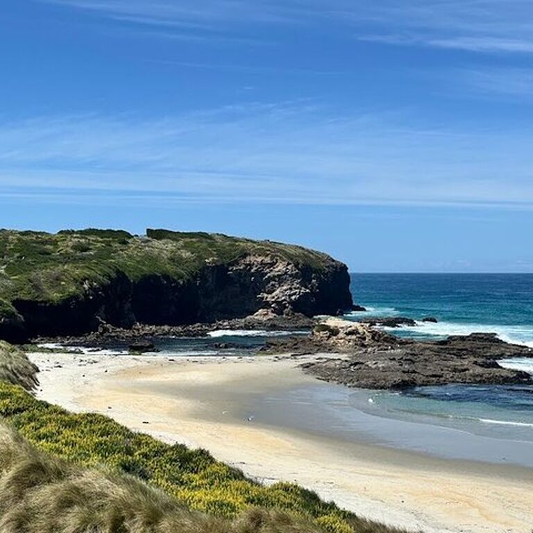 New Zealand Skyline Tourism Limited