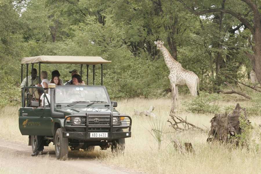 Adorable Travel and Tours