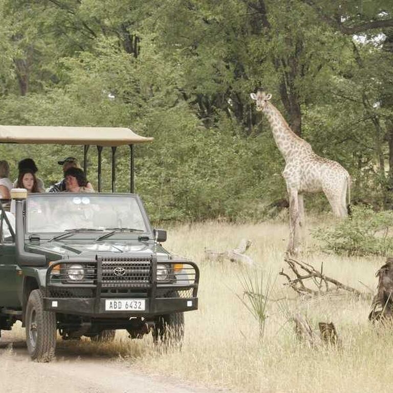 Adorable Travel and Tours