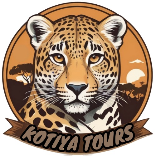 Kotiya Tours