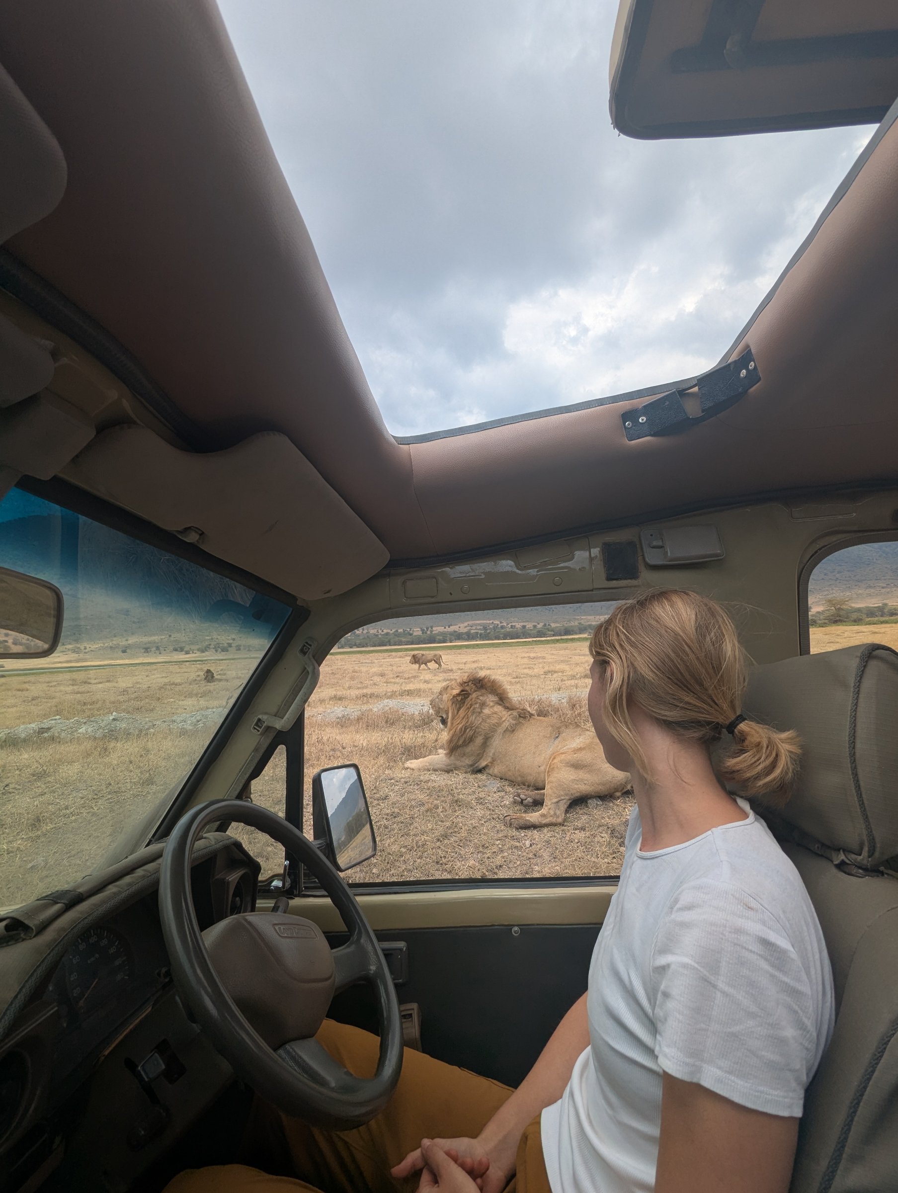 JustAfricaSafari