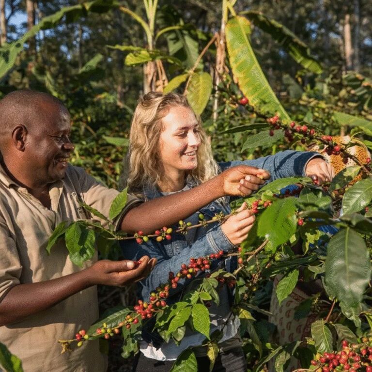 JustAfricaSafari