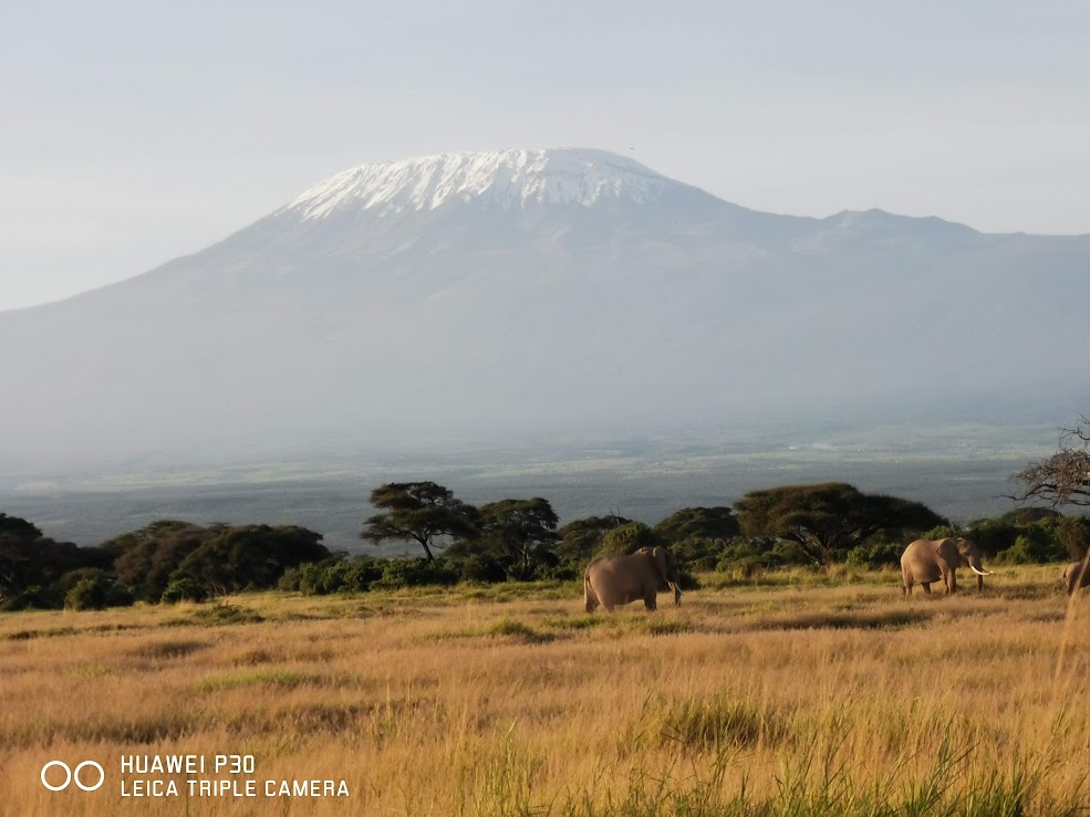 Smile View Kenya Safaris