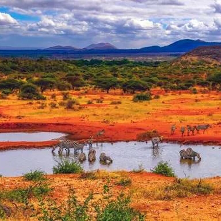 Marula Horizon Safaris