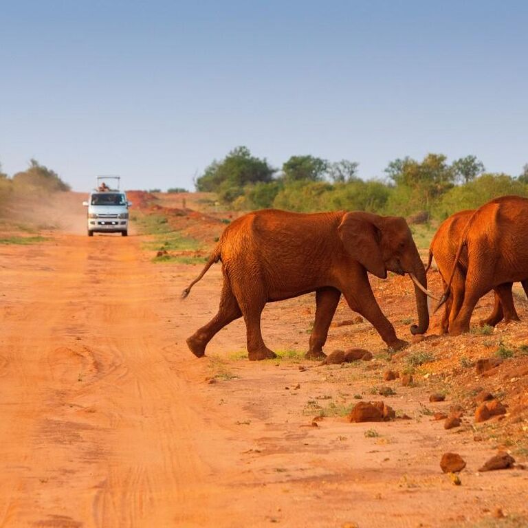 Marula Horizon Safaris