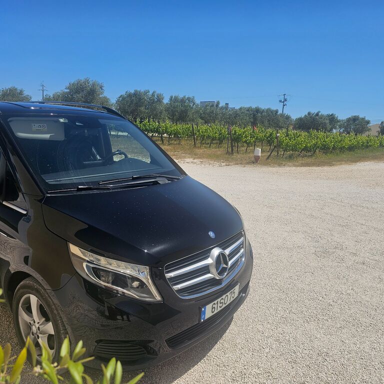 Premium Driving Solutions