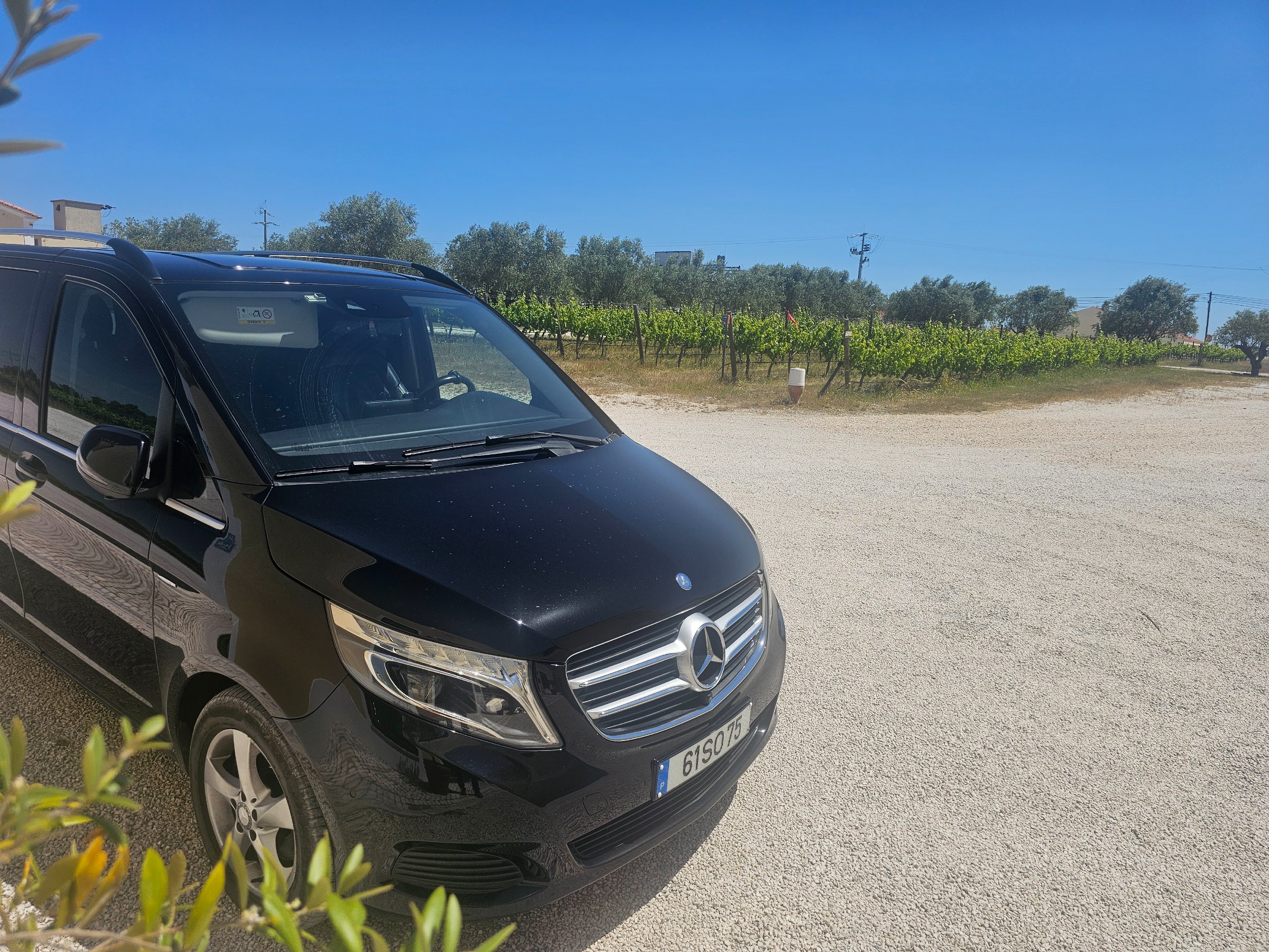Premium Driving Solutions