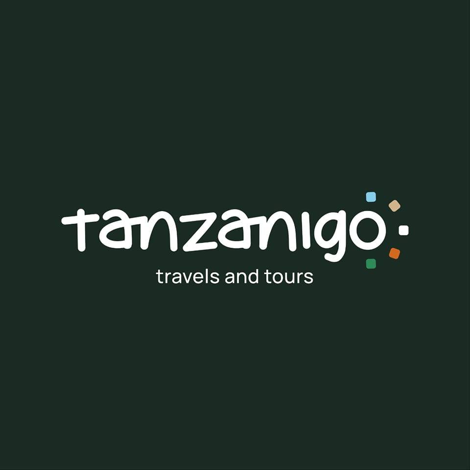 TanzaniGo Travels and Tours