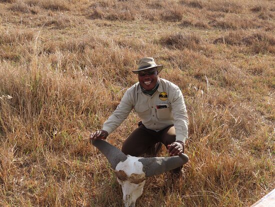 Okavango Exploration Safaris