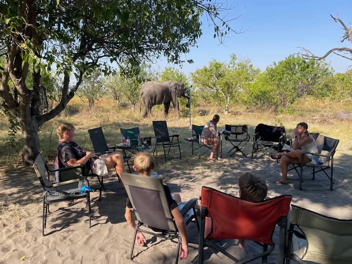 Okavango Exploration Safaris