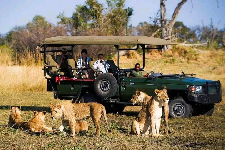 Okavango Exploration Safaris
