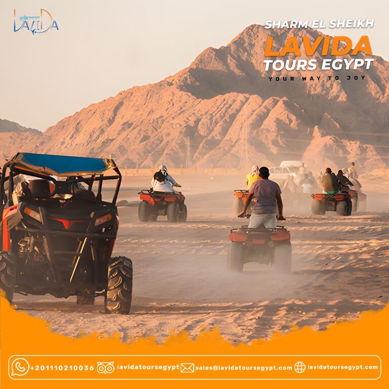 Lavida Tours Egypt