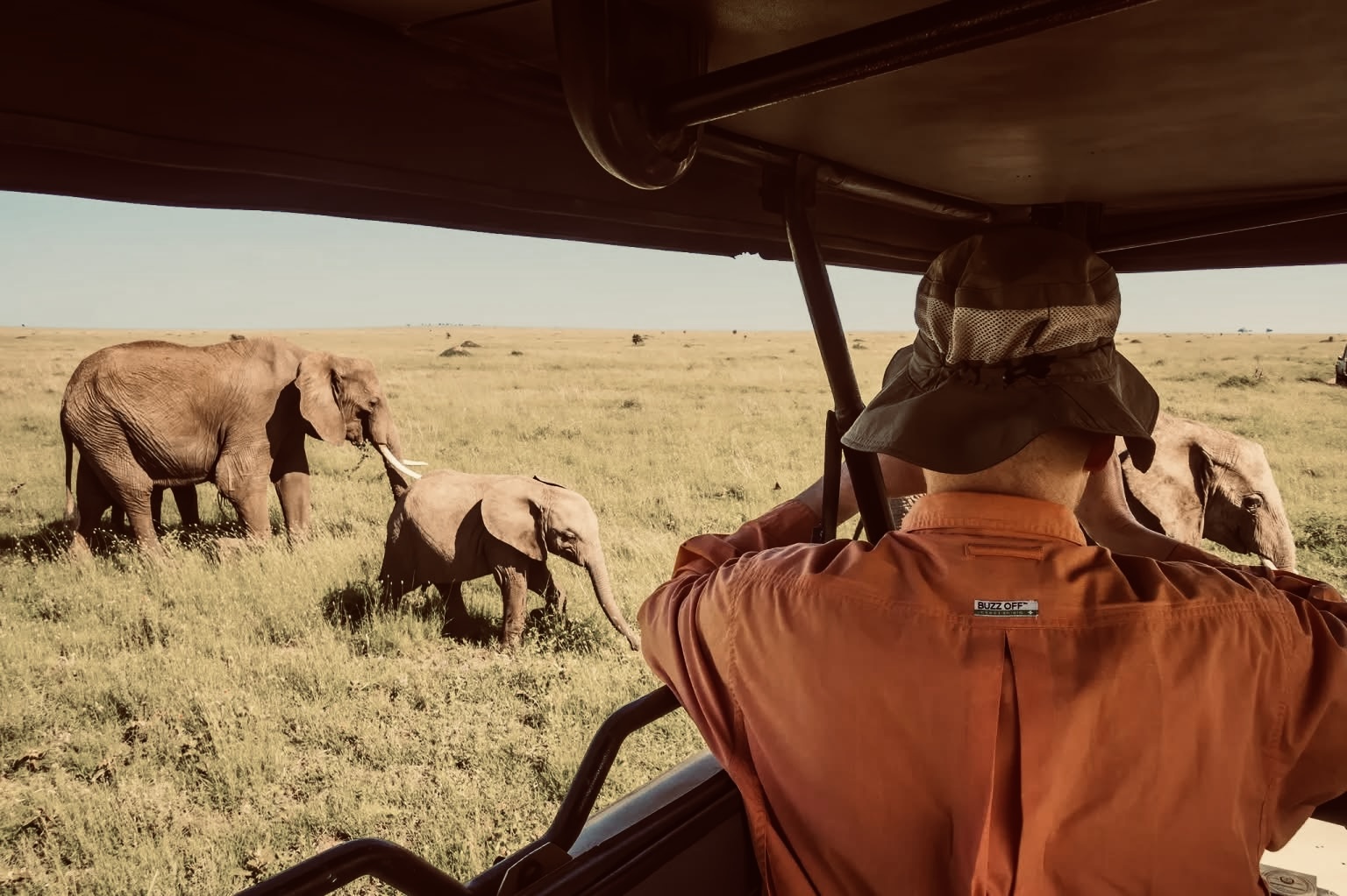 LexoAfrica Expedition and Safaris