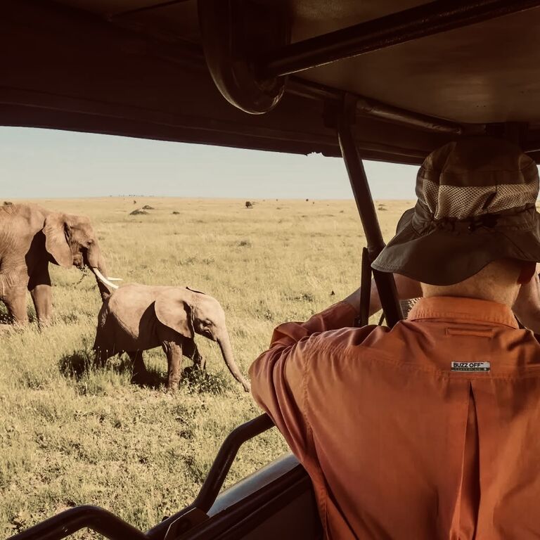 LexoAfrica Expedition and Safaris