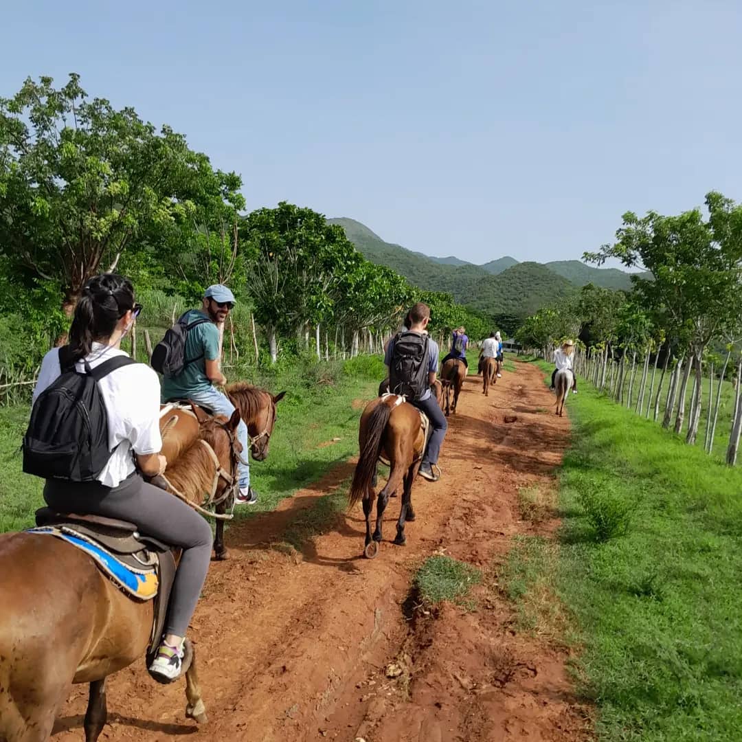 Horseback Riding Tours Trinidad