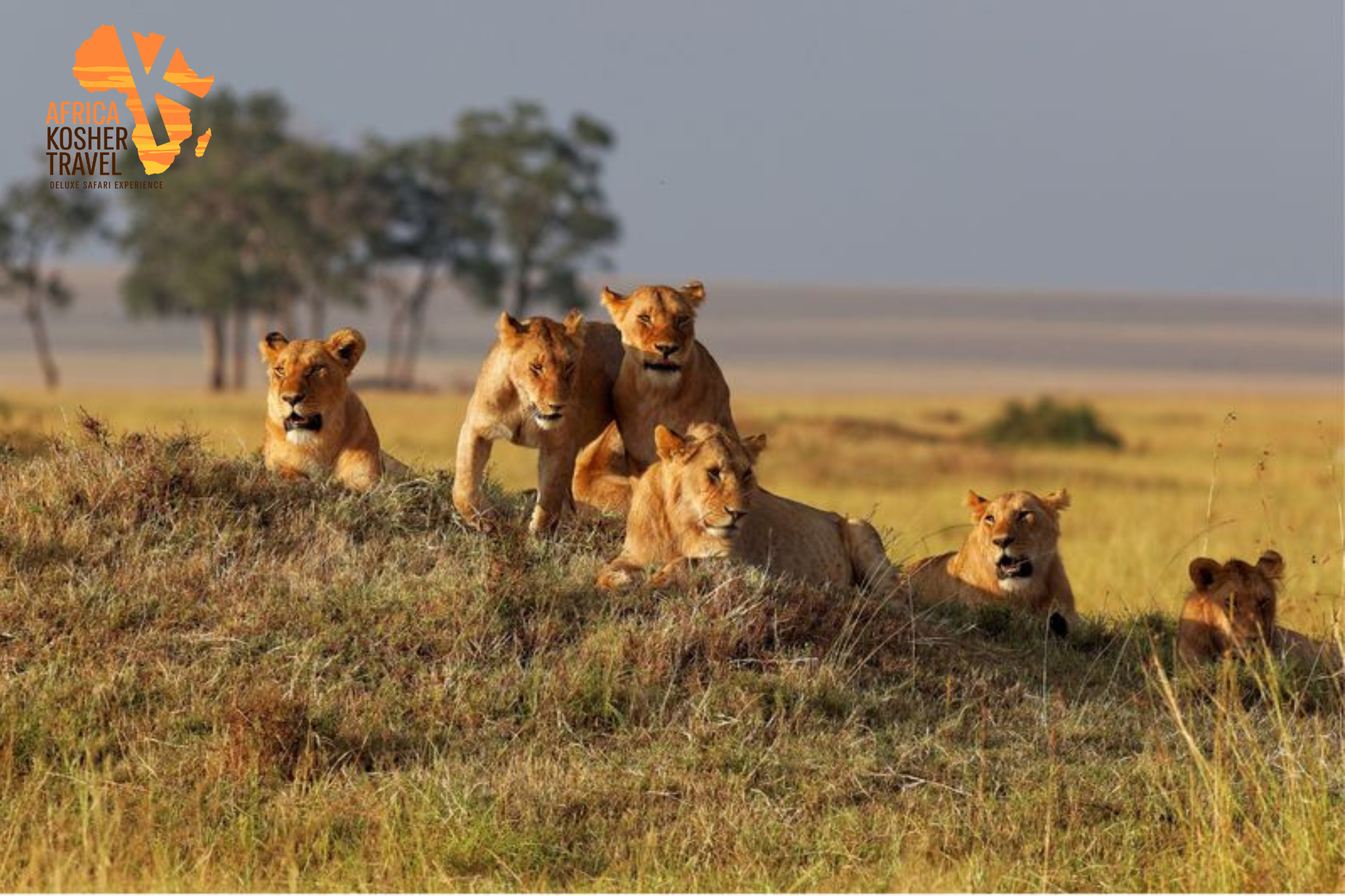 AFRICA KOSHER TRAVEL