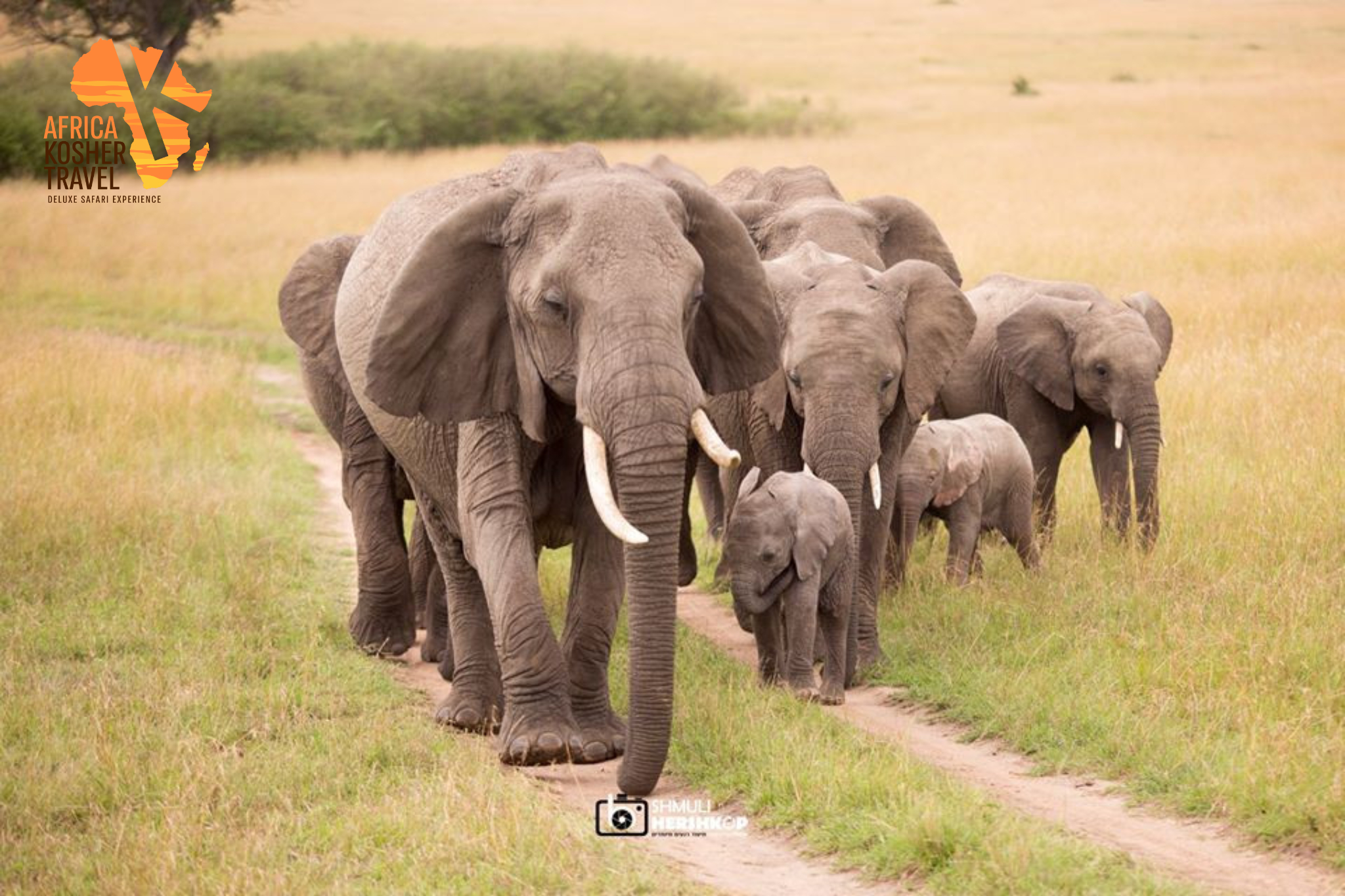 AFRICA KOSHER TRAVEL