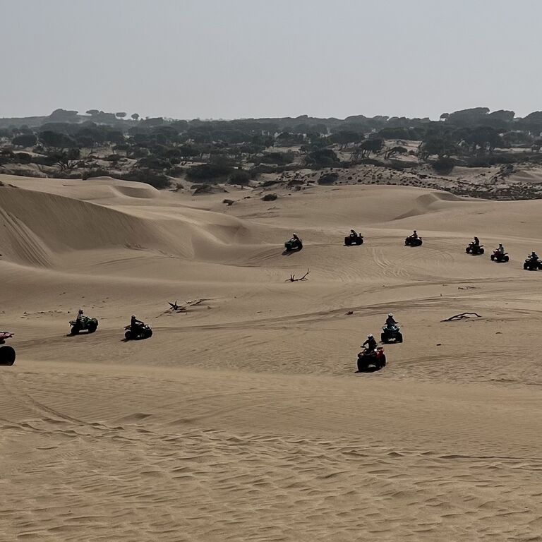 Sabiza Quad Essaouira
