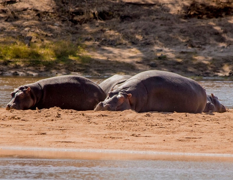 EUGEN TANZANIA SAFARIS
