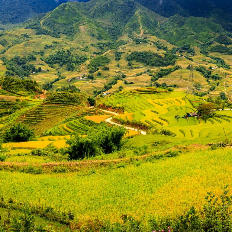 Francophone Trek Sapa