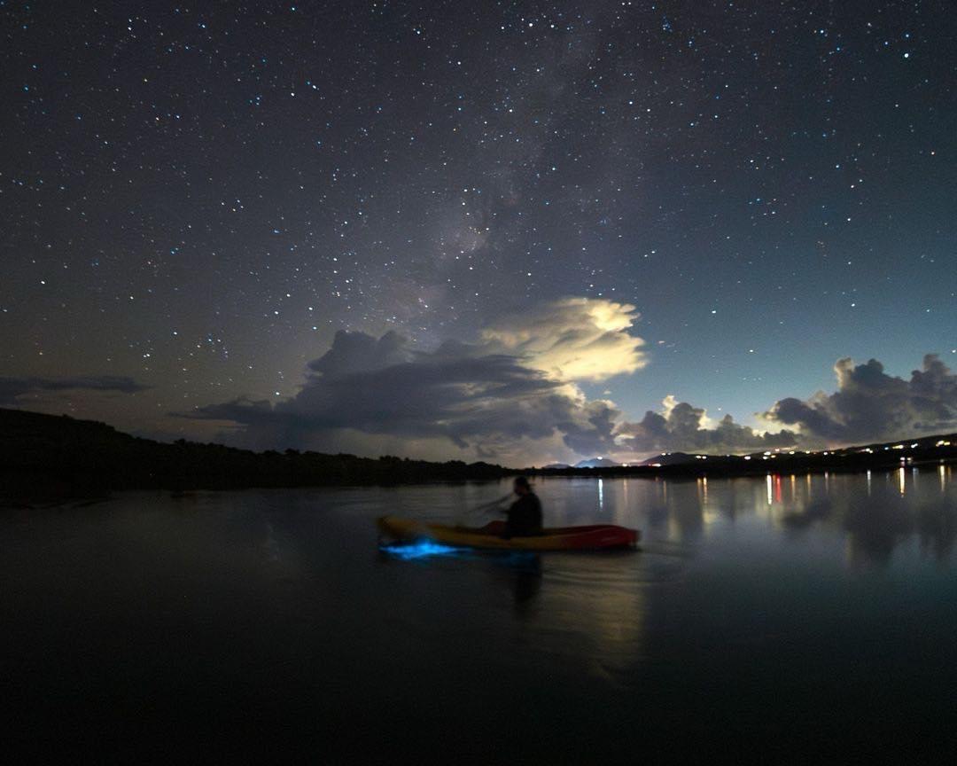 Fokito’s Tours, LLC