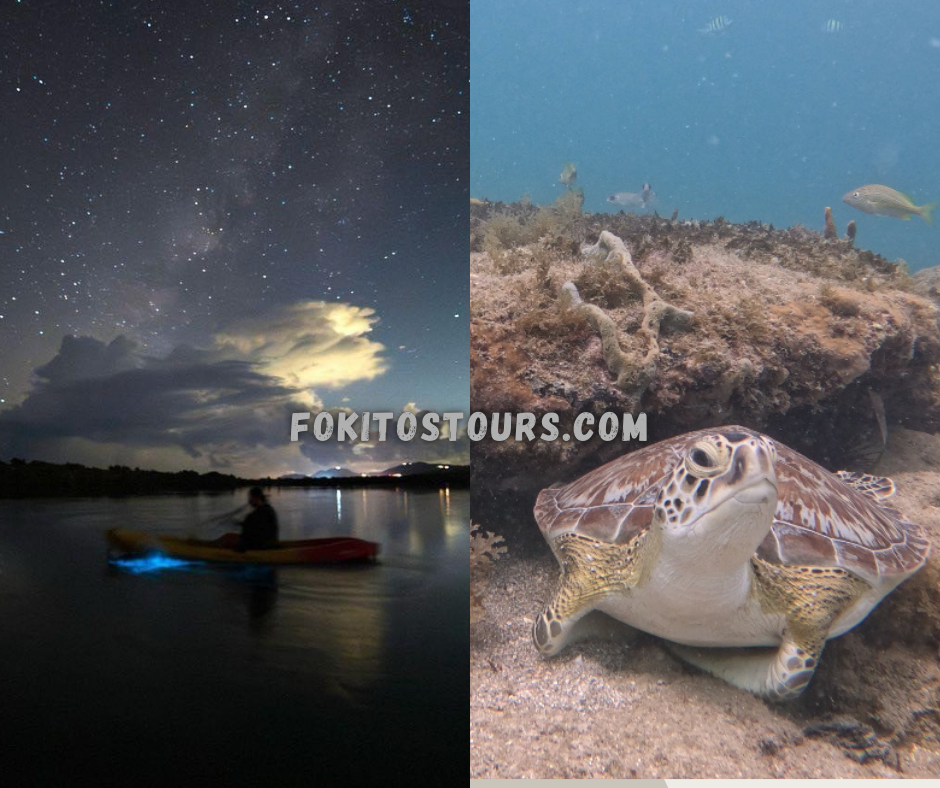 Fokito’s Tours, LLC