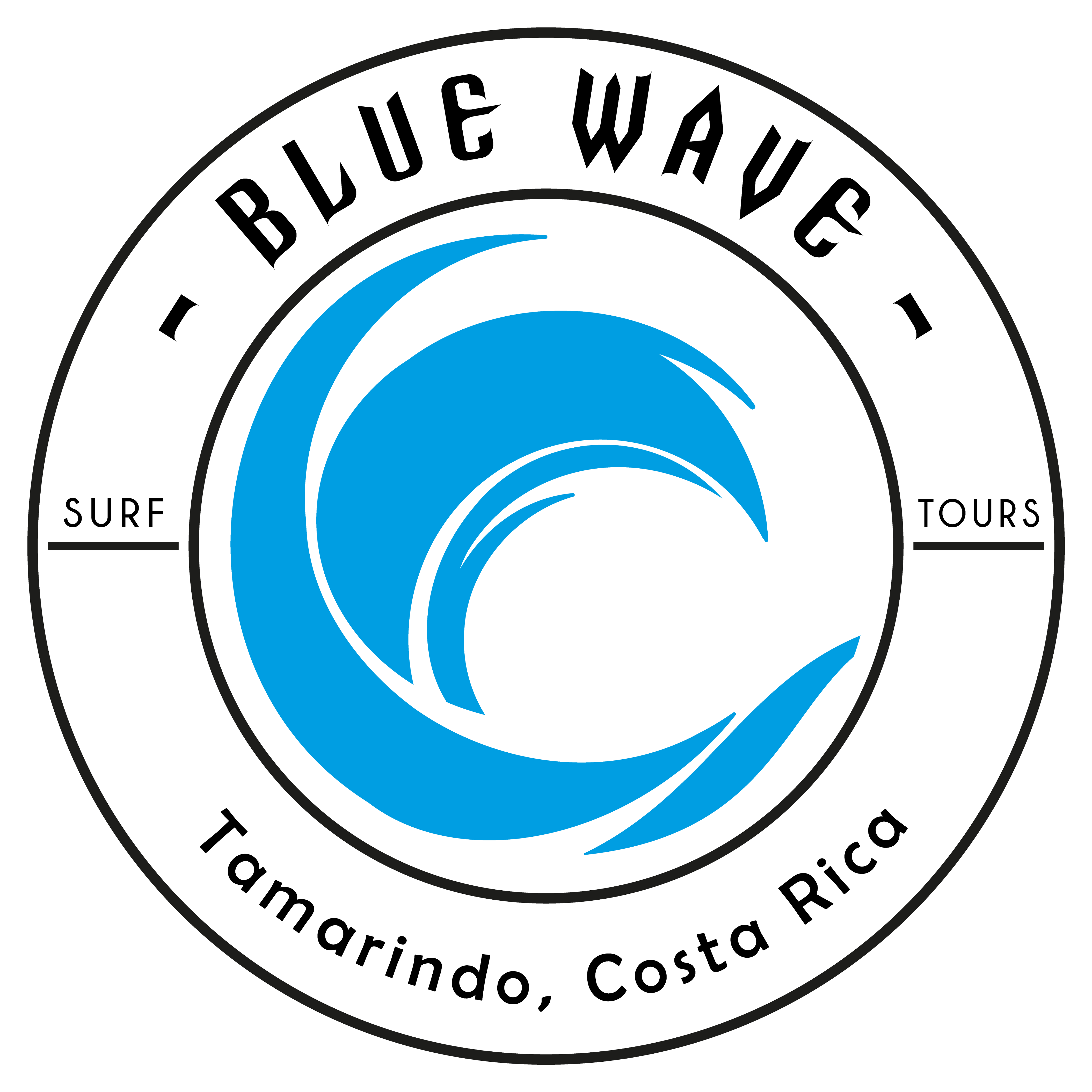 Blue Wave Surf & Tours