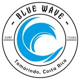 Blue Wave Surf & Tours