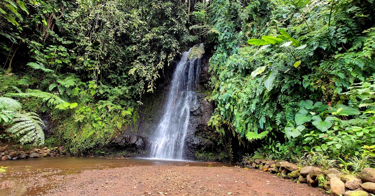 saffron road tahiti private tours