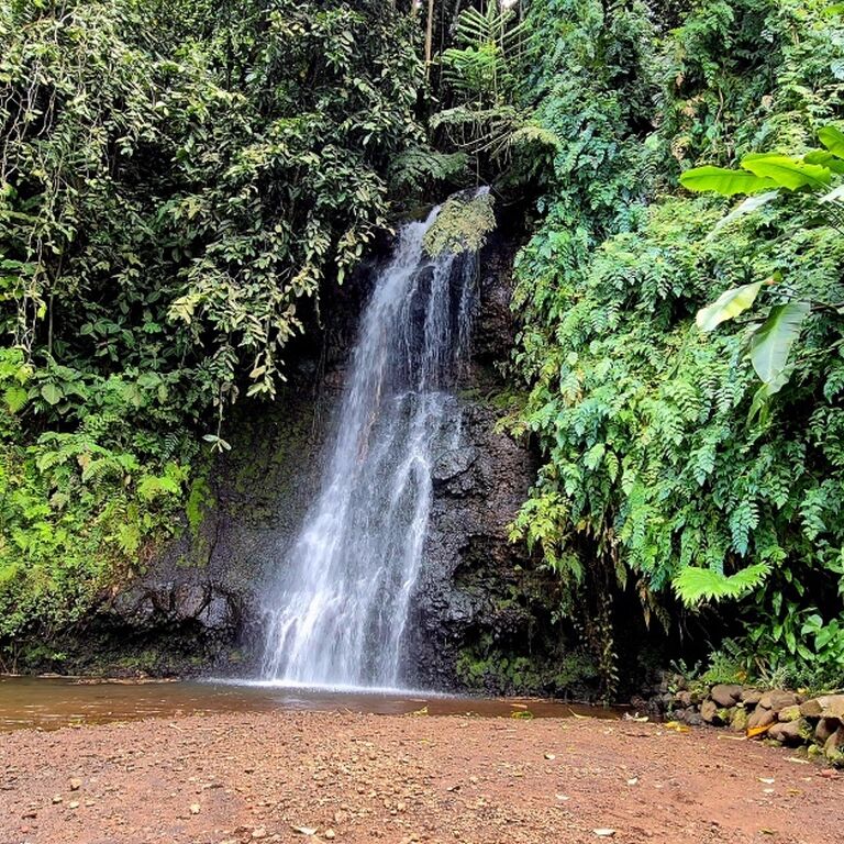 saffron road tahiti private tours