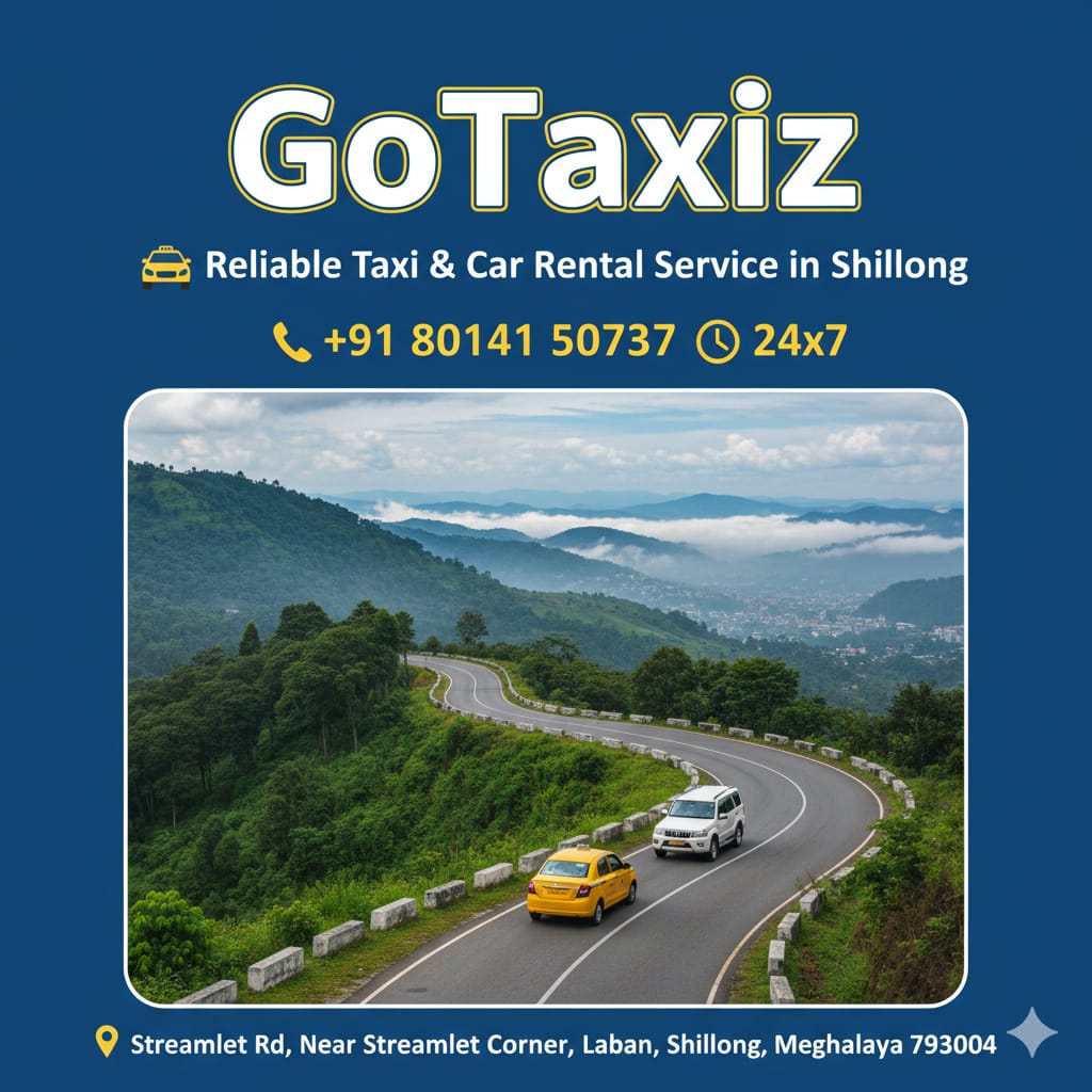 GoTaxiz