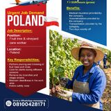 Cedrics Global Concept Ltd