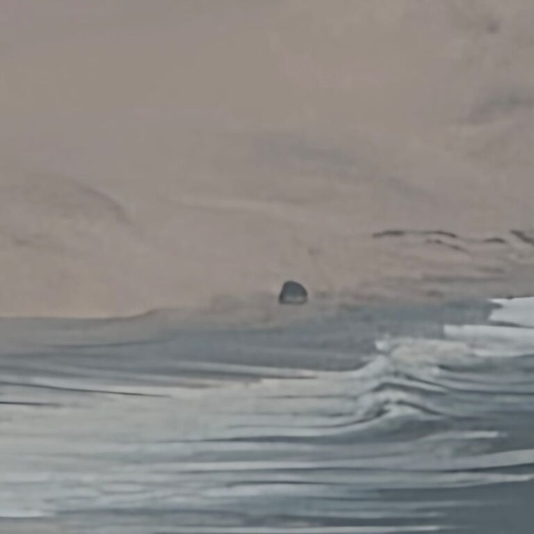 Rippling Sand Adventures